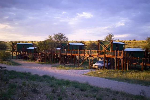 Safari-Unterkünfte auf Stelzen in der Savanne bei warmem Abendlicht, mit geländegängiger Fahrzeugs unter dem Steg.