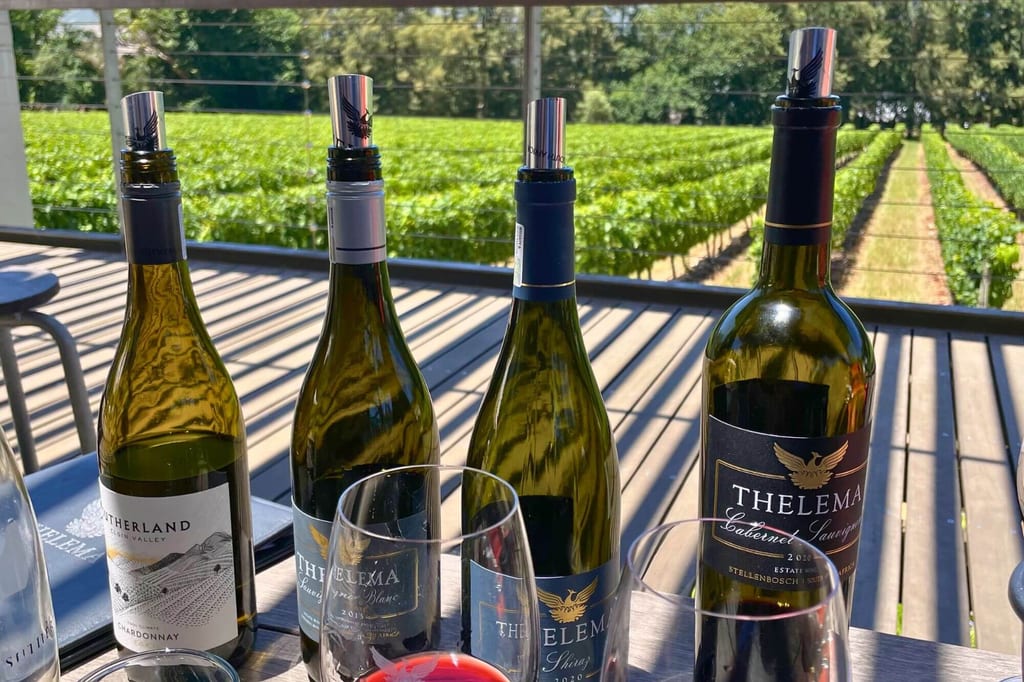 Vier geöffnete Weinflaschen und Gläser auf einer Terrasse vor einem grünen Weinberg bei Sonnenschein.