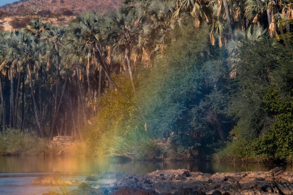 Flussufer mit Felsen und Palmenwald, bunte Lichtreflektion über der Vegetation
