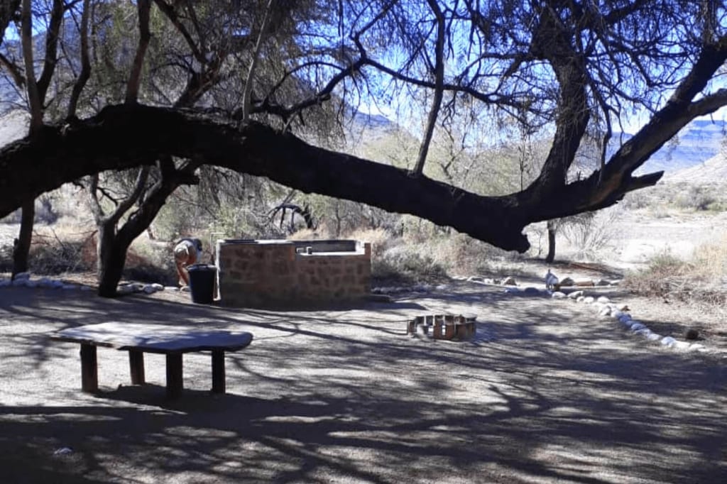 Picknickplatz mit großer Baumkrone, Holzbänken und gemauerter Feuerstelle in trockener Landschaft.