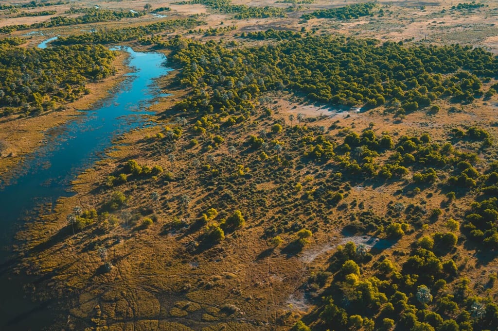 Auf einem Rundflug ab Maun kannst du verschiedene Tiere zwischen den Flüssen und Überschwemmungsgebieten des Okavango Deltas entdecken