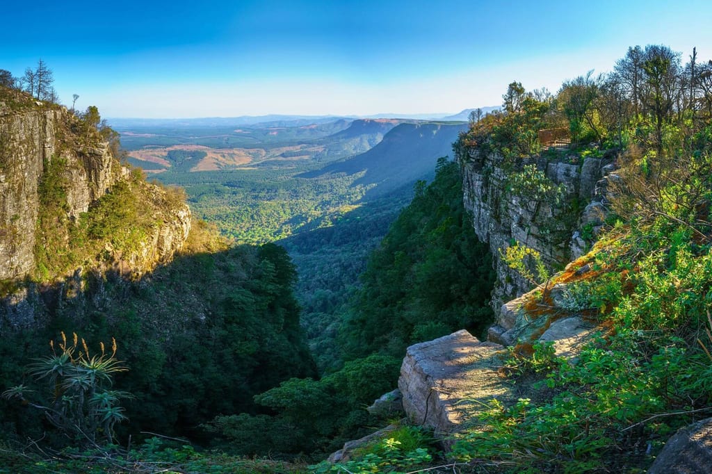 Panorama einer felsigen Schlucht mit dichtem Wald und sonnenbeleuchteter Felskante