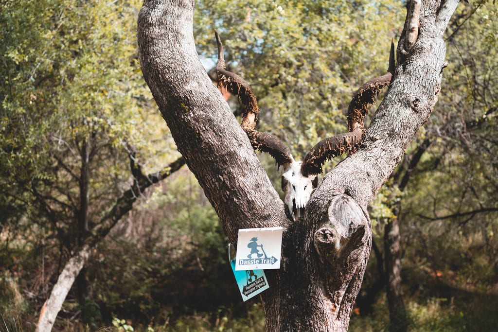 Wanderweg am Waterberg Plateau