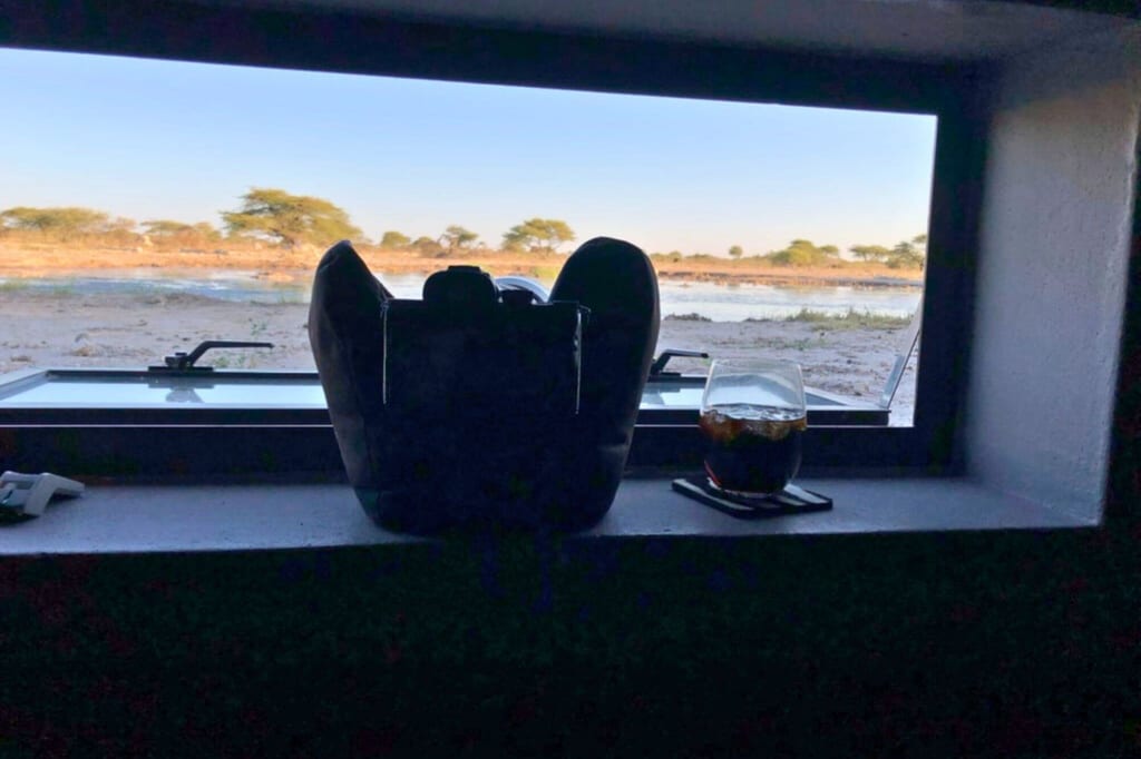 Blick aus Beobachtungsfenster auf Wasserstelle und Baumbestand, Kameratasche und Glas auf der Fensterbank