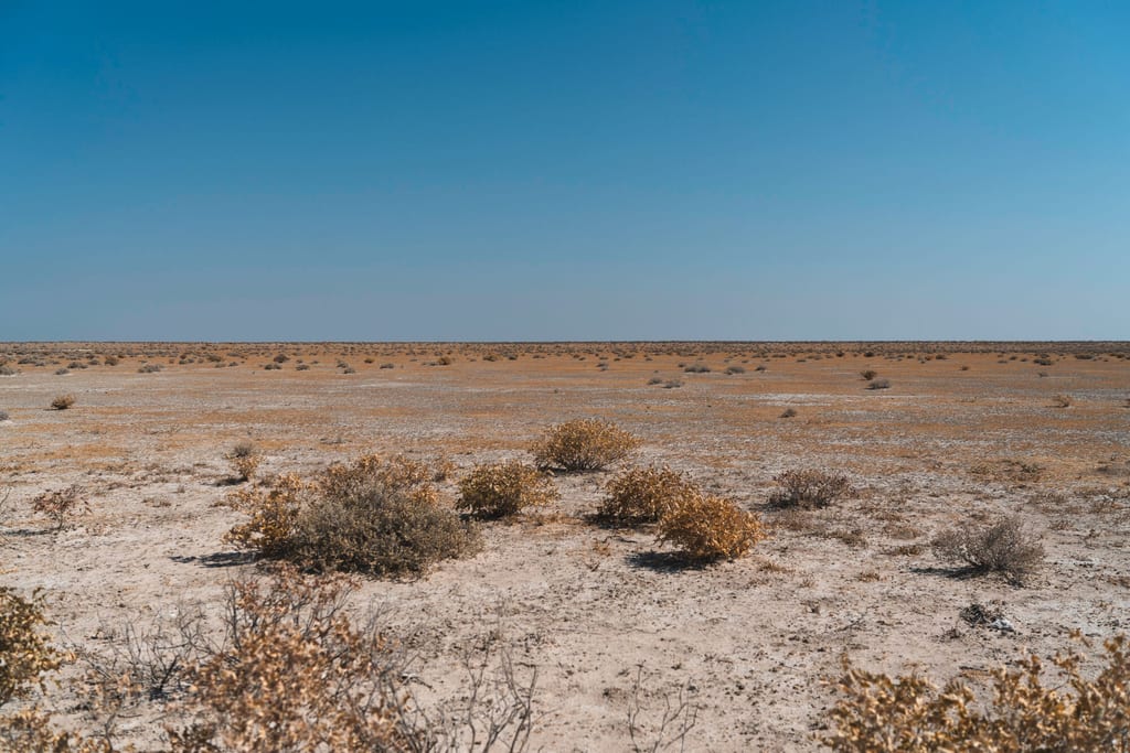 Weite trockene Landschaft mit vereinzelten Büschen und klarem blauen Himmel.