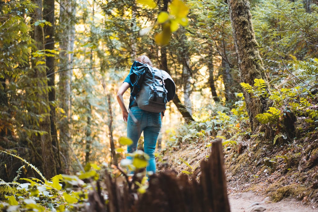 Wandern im Goldstream Provincial Park