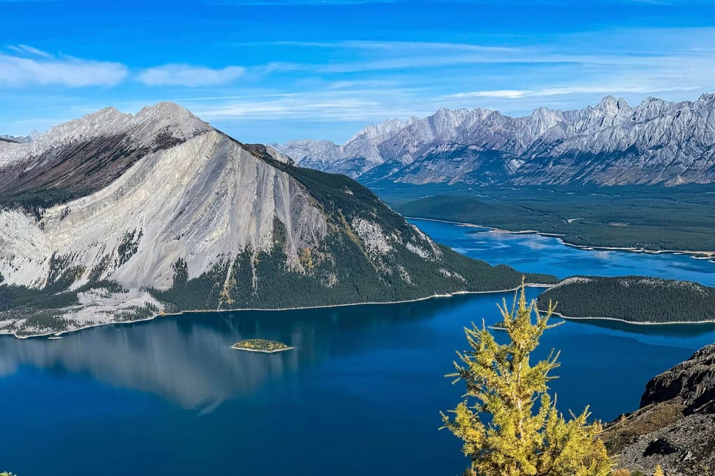 Panorama eines tiefblauen Bergsees mit Inseln, steilem Hang und Nadelbaum im Vordergrund