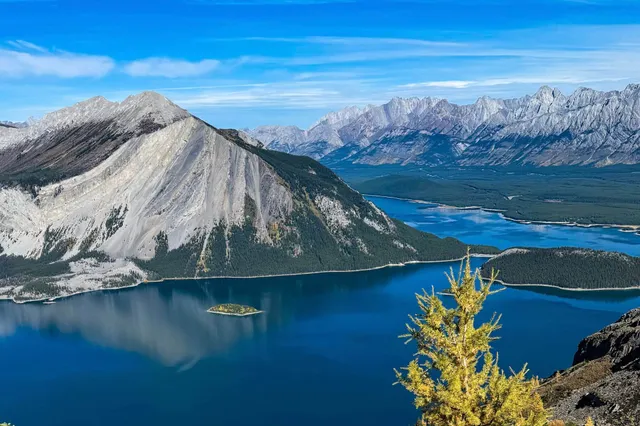 Panorama eines tiefblauen Bergsees mit Inseln, steilem Hang und Nadelbaum im Vordergrund