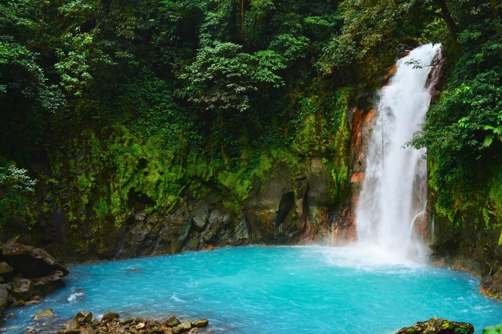 Wasserfall fällt in ein türkisfarbenes Becken, umgeben von moosbewachsenen Felsen und dichter Regenwaldvegetation.