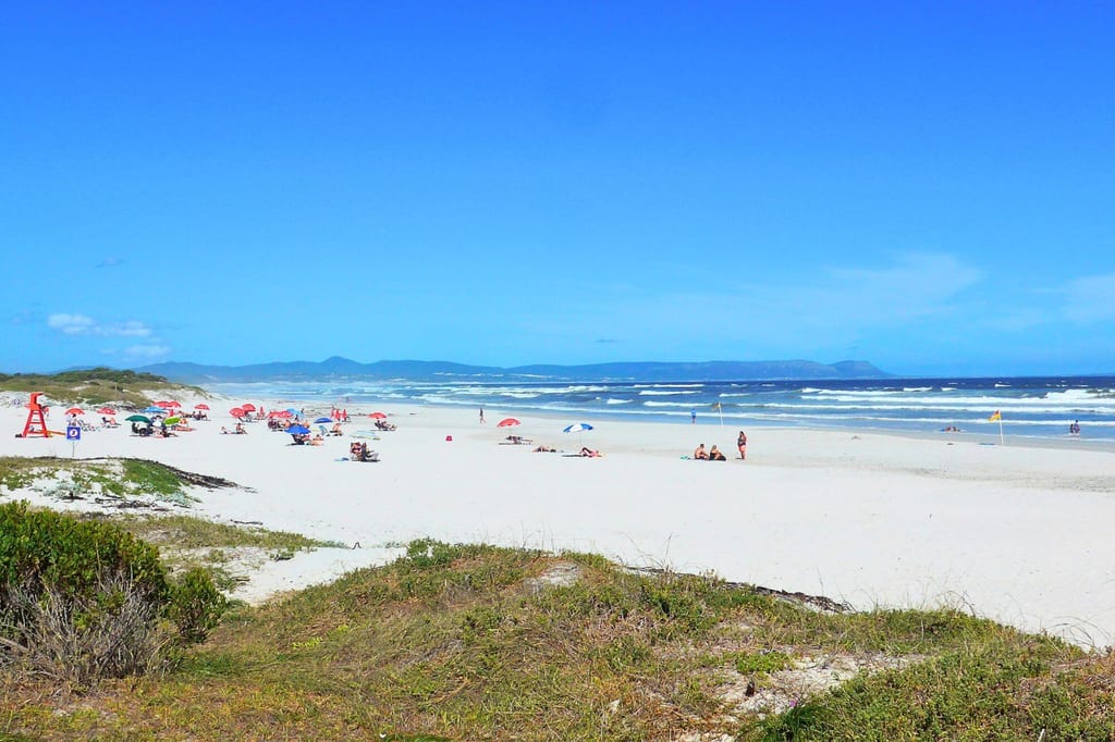 Weitläufiger Sandstrand mit Sonnenschirmen, Dünengras im Vordergrund und blauem Meer im Hintergrund