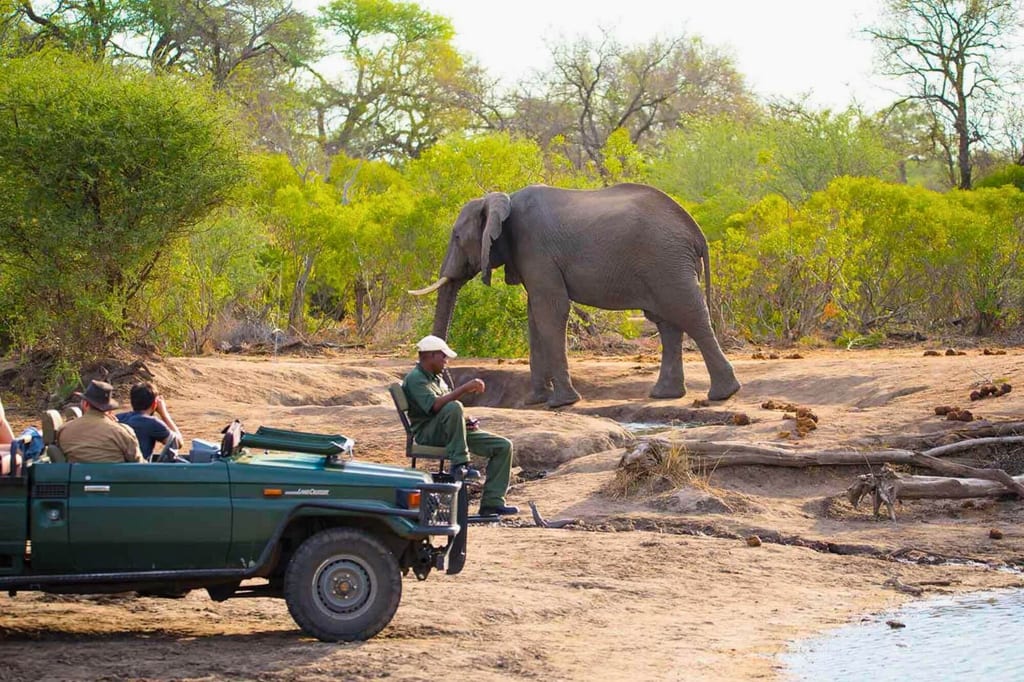 Elefant am Wasserufer neben Safari-Fahrzeug mit Ranger und beobachtenden Touristen.