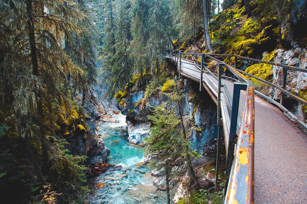 Steg mit Metallgeländer entlang moosiger Felsenschlucht und türkisfarbenem Gebirgsbach