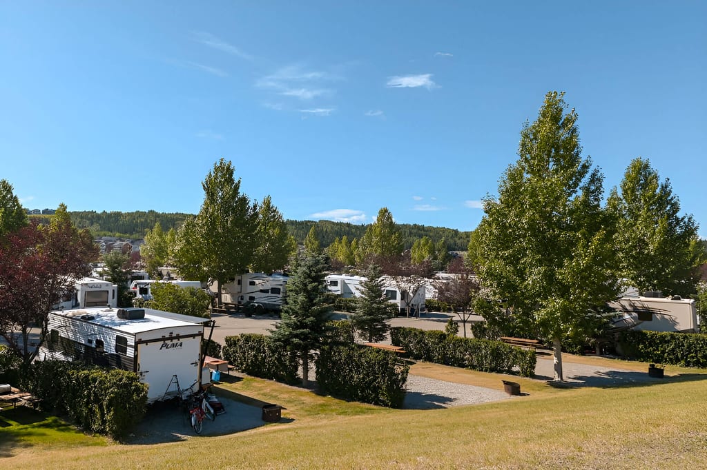 Campingplatz mit mehreren Wohnmobilen und Wohnwagen zwischen Bäumen bei klarem blauem Himmel.