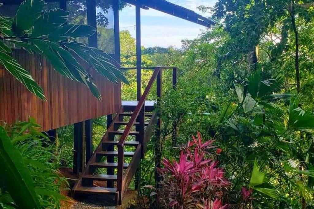 Erhöhte Holzhütte mit Außentreppe in dichter tropischer Vegetation und rosa Blütenpflanzen