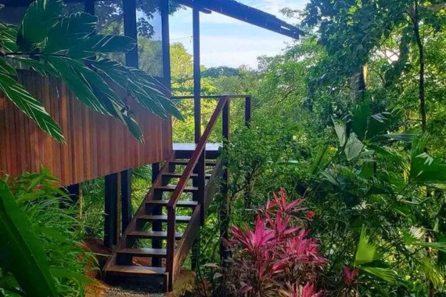 Erhöhte Holzhütte mit Außentreppe in dichter tropischer Vegetation und rosa Blütenpflanzen