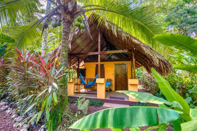 Gelber Bungalow mit Hängesessel, Palme mit Kokosnüssen und üppiger tropischer Vegetation