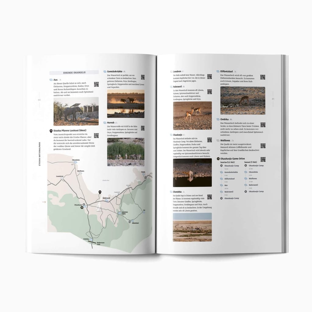Etosha Parkkarte mit Wasserlöchern und Tierbeobachtungstipps
