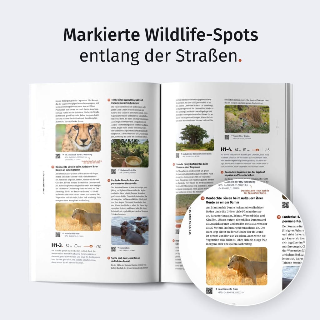 Aufgeklapptes Reisemagazin mit Bildern von Wildtieren und vergrößertem Bildausschnitt