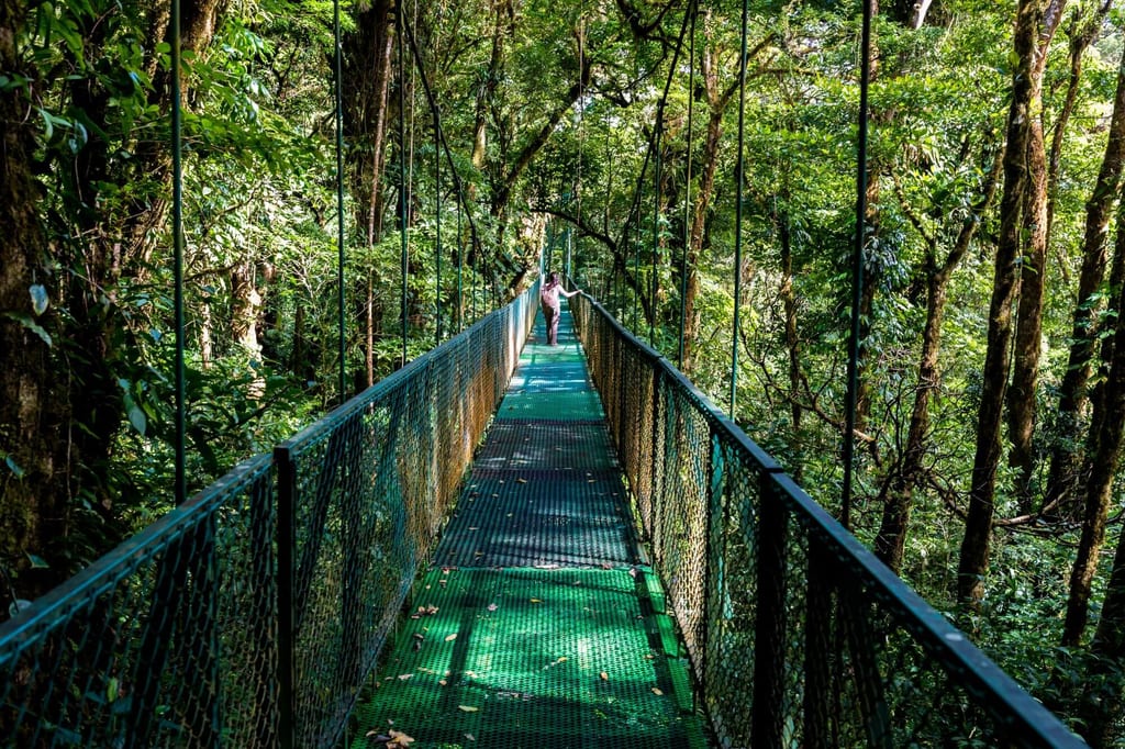 Zentraler Blick über einen Hängegang durch dichten Regenwald mit Person in der Entfernung