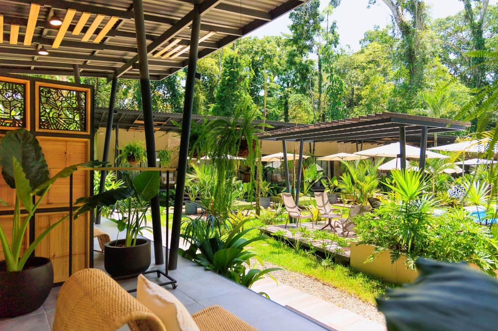 Blick von überdachter Terrasse auf Garten mit Liegestühlen, Sonnenschirmen und tropischen Pflanzen