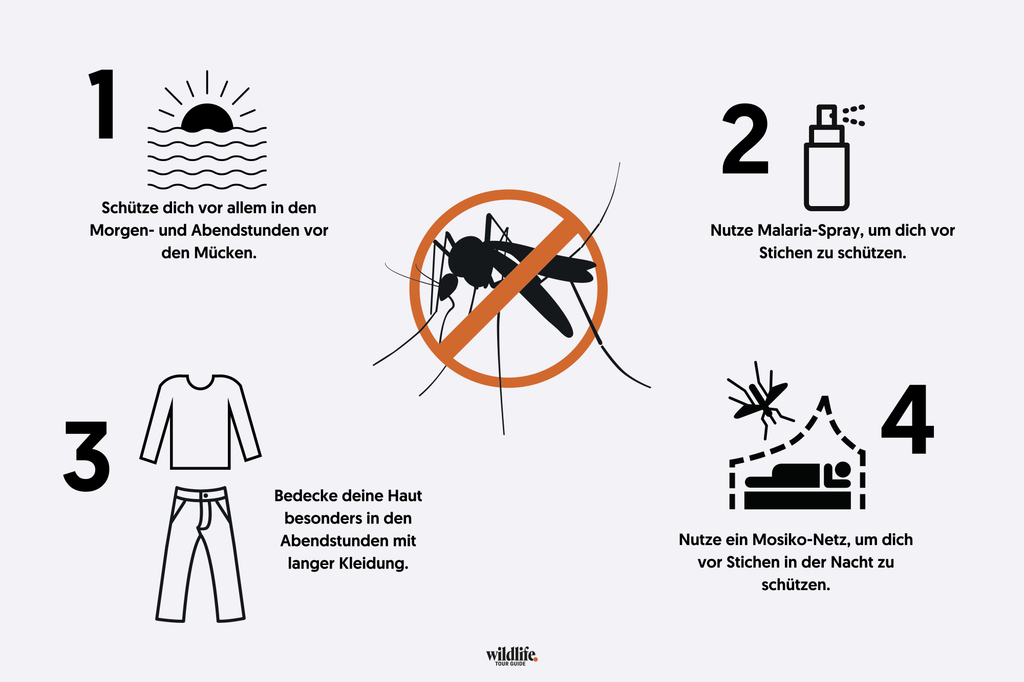 Infografik mit Mücke im Verbotssymbol und vier Piktogrammen zu Insektenschutz