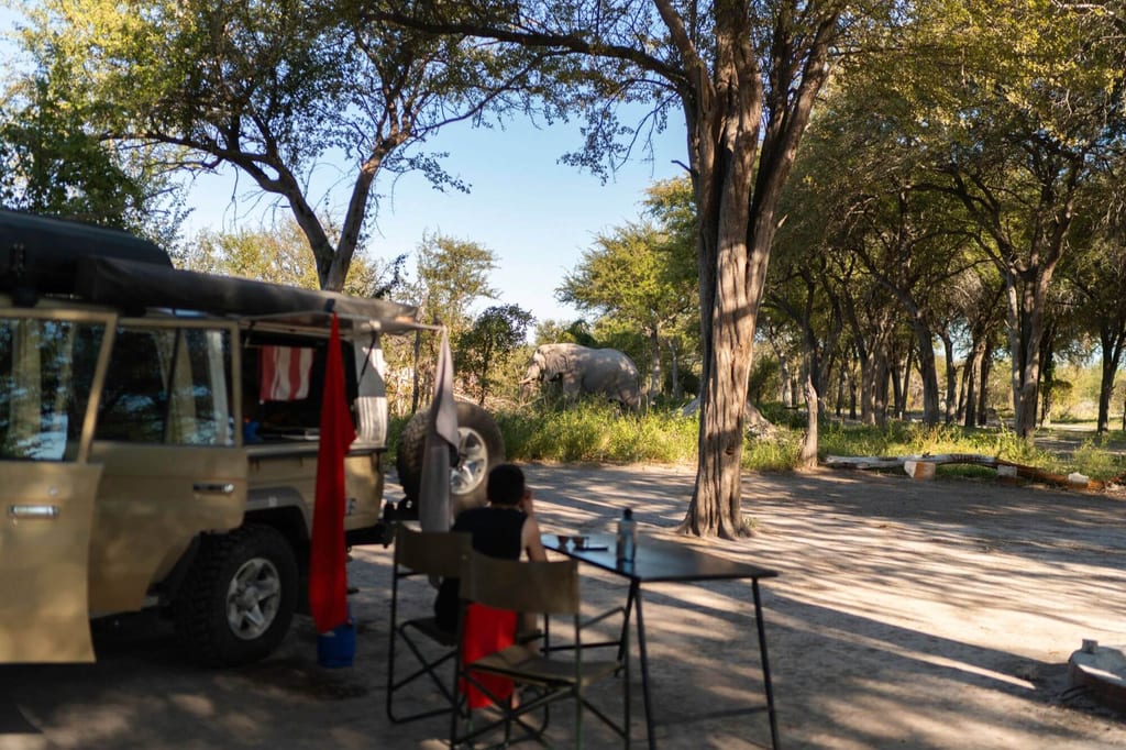 Campingplatz mit Geländewagen und sitzender Person, am Waldrand steht ein großes Säugetier (Dickhäuter).