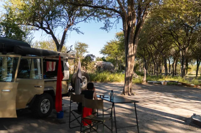Campingplatz mit Geländewagen und sitzender Person, am Waldrand steht ein großes Säugetier (Dickhäuter).