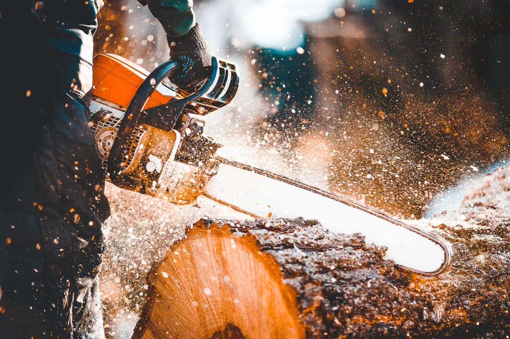 Holz wird zersägt