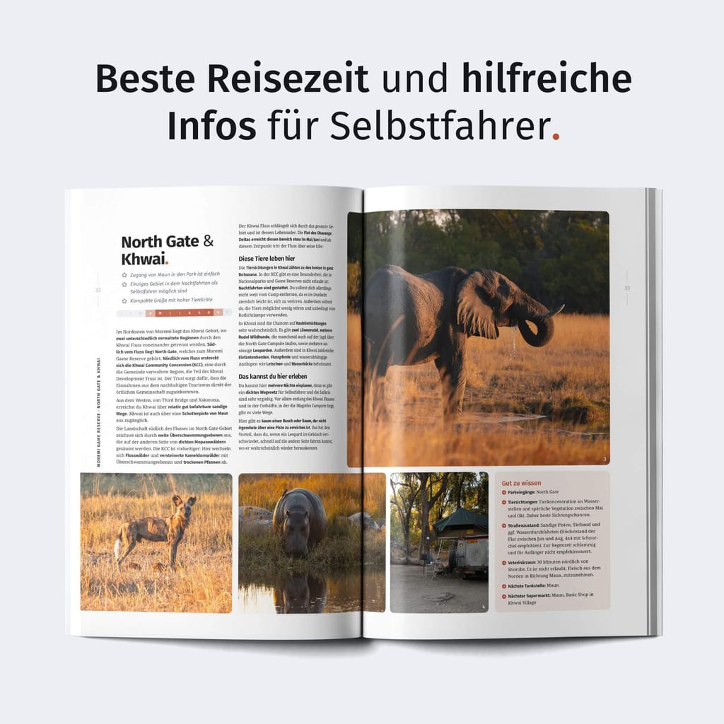 Geöffnete Reisemagazindoppelseite mit Tierfotos in warmem Abendlicht und Camp-Aufnahmen.