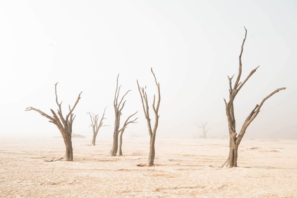 Deadvlei im Nebel