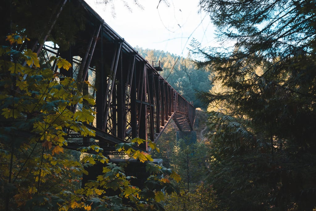 Große Holzbrücke über einem Tal auf Vancouver Island