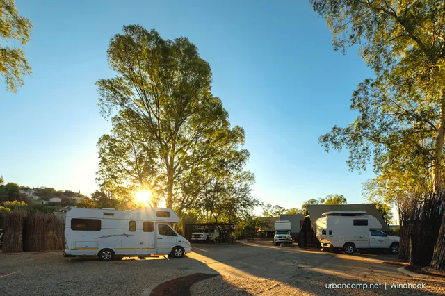 Mehrere Wohnmobile auf einem Campingplatz bei tief stehender Sonne zwischen hohen Bäumen