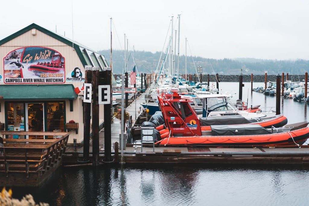 Boote am Steg für Whale Watching auf Vancouver Island