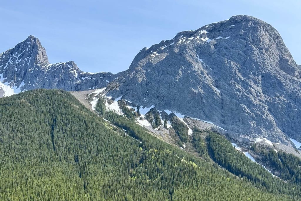 Felsige Berggipfel mit Schneefeldern über einem dichten Nadelwald bei klarem Tageslicht.