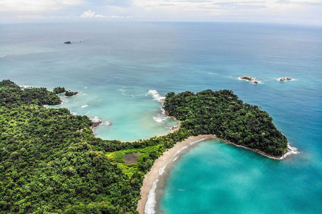 Im Nationalpark Manuel Antonio kannst du häufig Rote Aras am Rand des Regenwalds beobachten.