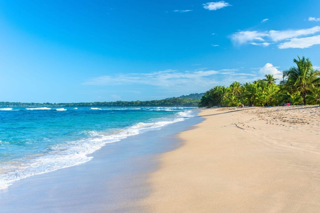 Sonniger Sandstrand mit Palmen, türkisblauem Meer und sanfter Brandung entlang der Küste.
