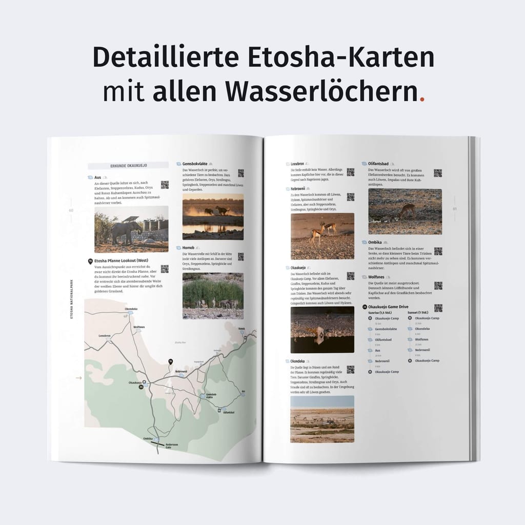 Aufgeschlagenes Magazin mit Karte, Bildern und Text in sachlicher Draufsicht.