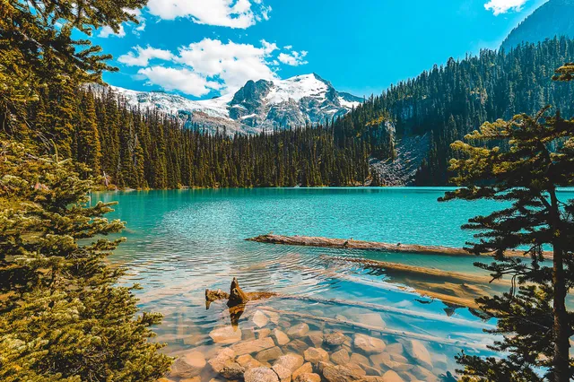 Türkisfarbener Bergsee mit klarer Uferzone, Nadelwald und schneebedecktem Gipfel im Hintergrund.