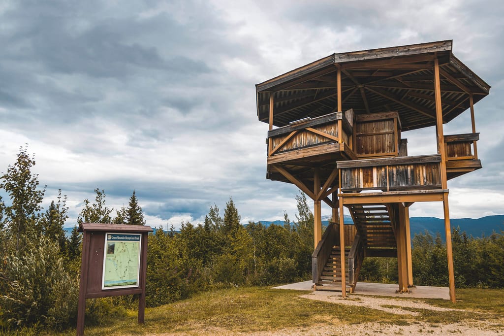Holzbeobachtungsturm mit Treppe und Informationstafel vor Wald und Bergen bei bewölktem Himmel