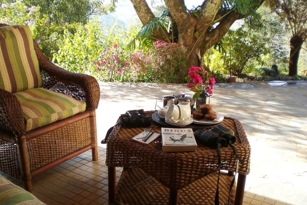 Sonnige Terrasse mit geflochtenem Sessel, Tisch, Fernglas, Buch und Tee auf dem Tisch