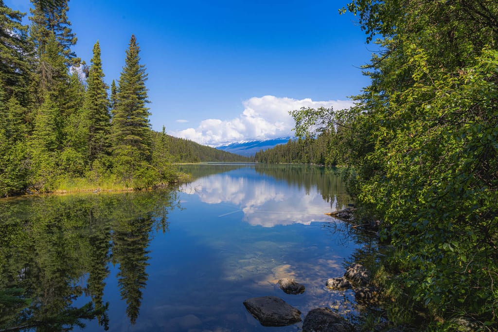 Ruhiger Bergsee mit spiegelnder Oberfläche, Nadelwald und schneebedeckten Gipfeln im Hintergrund