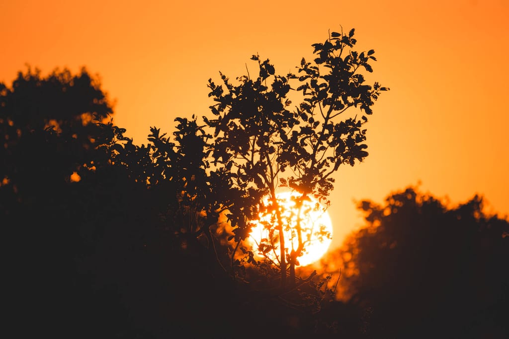 Sonnenuntergang in Botswana