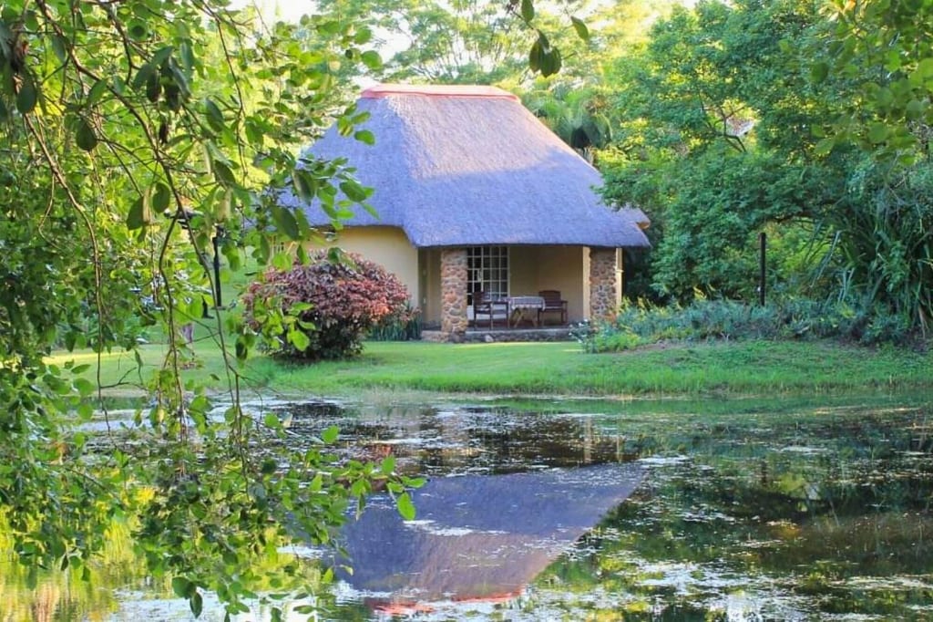 Kleines Reetdachhaus am Teich mit Spiegelung und grünen Ästen im Vordergrund