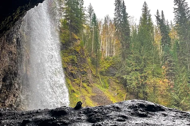 Blick aus einer Höhle hinter einem Wasserfall auf bewaldete Hänge und nasse Felsen