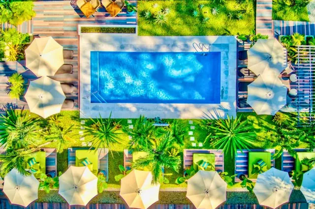 Drohnenaufnahme eines rechteckigen Pools mit Sonnenschirmen und tropischer Gartenanlage am Tag