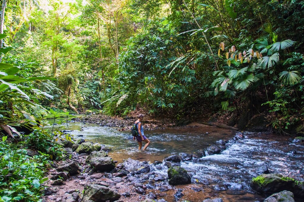 Wanderer mit Rucksack watet durch flachen Fluss im dichten Regenwald, grünes Blätterdach im Licht.