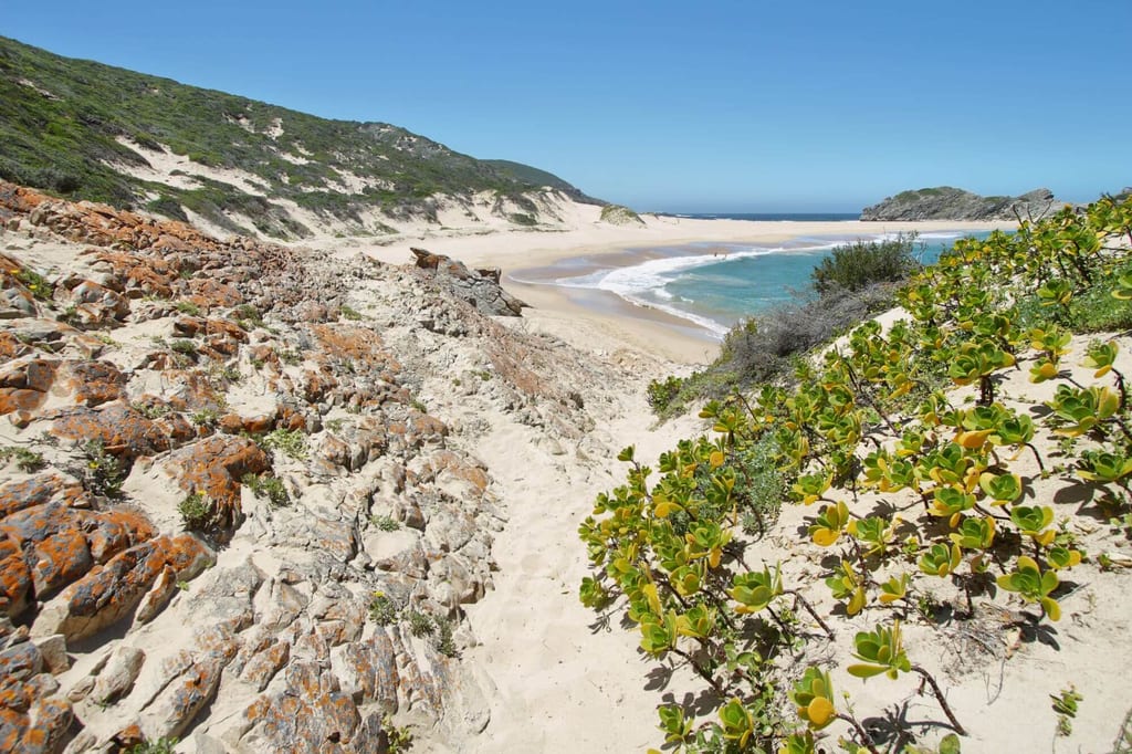 Blick über Dünen, Sandpfad und Strandvegetation auf eine ruhige Küstenbucht bei klarem Himmel.
