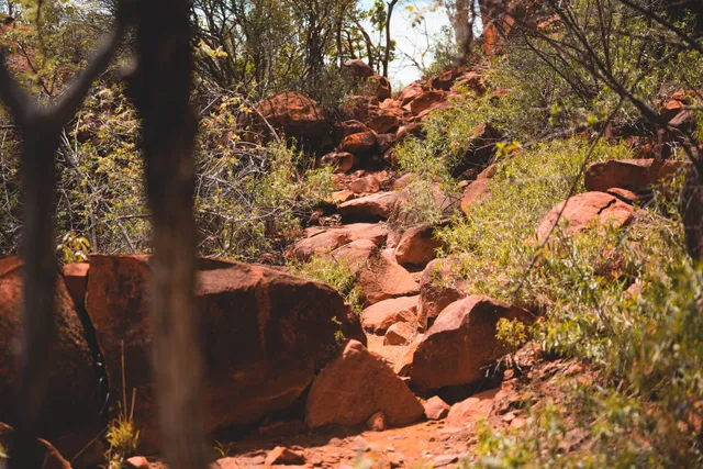 Wanderweg am Waterberg Plateau