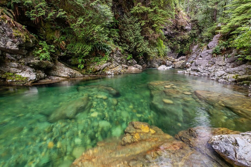 Smaragdgrüner Gebirgsbach in felsiger Schlucht mit dichter Vegetation und weichem Tageslicht.