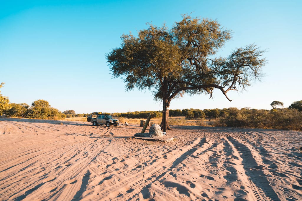 Sandiges Flussbett mit Einzelbaum und Geländewagen bei warmem Spätnachmittagslicht